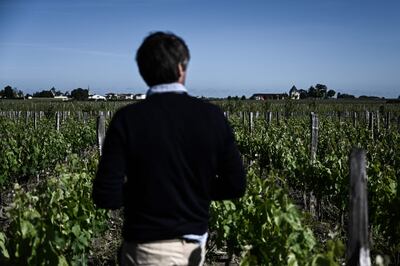 Cheval Blanc's technical director Pierre-Olivier Clouet walks in the vineyards of the Chateau Cheval Blanc's Premier Grand Cru Classe A domain, in Saint-Emilion, south-western France. AFP