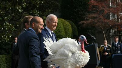 US President Joe Biden pardons the national Thanksgiving turkey, Liberty, during a pardoning ceremony at the White House in Washington, DC on November 20, 2023. (Photo by Mandel NGAN / AFP)