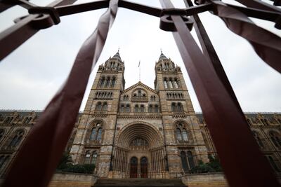 LONDON, ENGLAND - DECEMBER 21: General view of the Natural History Museum on December 21, 2021 in London, England. The museum, which plans to reopen on December 28th, was one of several national attractions forced to close due to Covid-related staff shortages. "We have made the difficult decision to close our South Kensington site from Tuesday 21 December due to front-of-house staff shortages which have been affected by Covid-19 infections and isolation requirements," the museum said in a statement. (Photo by Dan Kitwood / Getty Images)