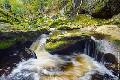 From June 25, international vaccinated travellers can visit Germany again to explore places like the Black Forest. Courtesy German National Tourist Board